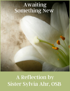 Awaiting Something New