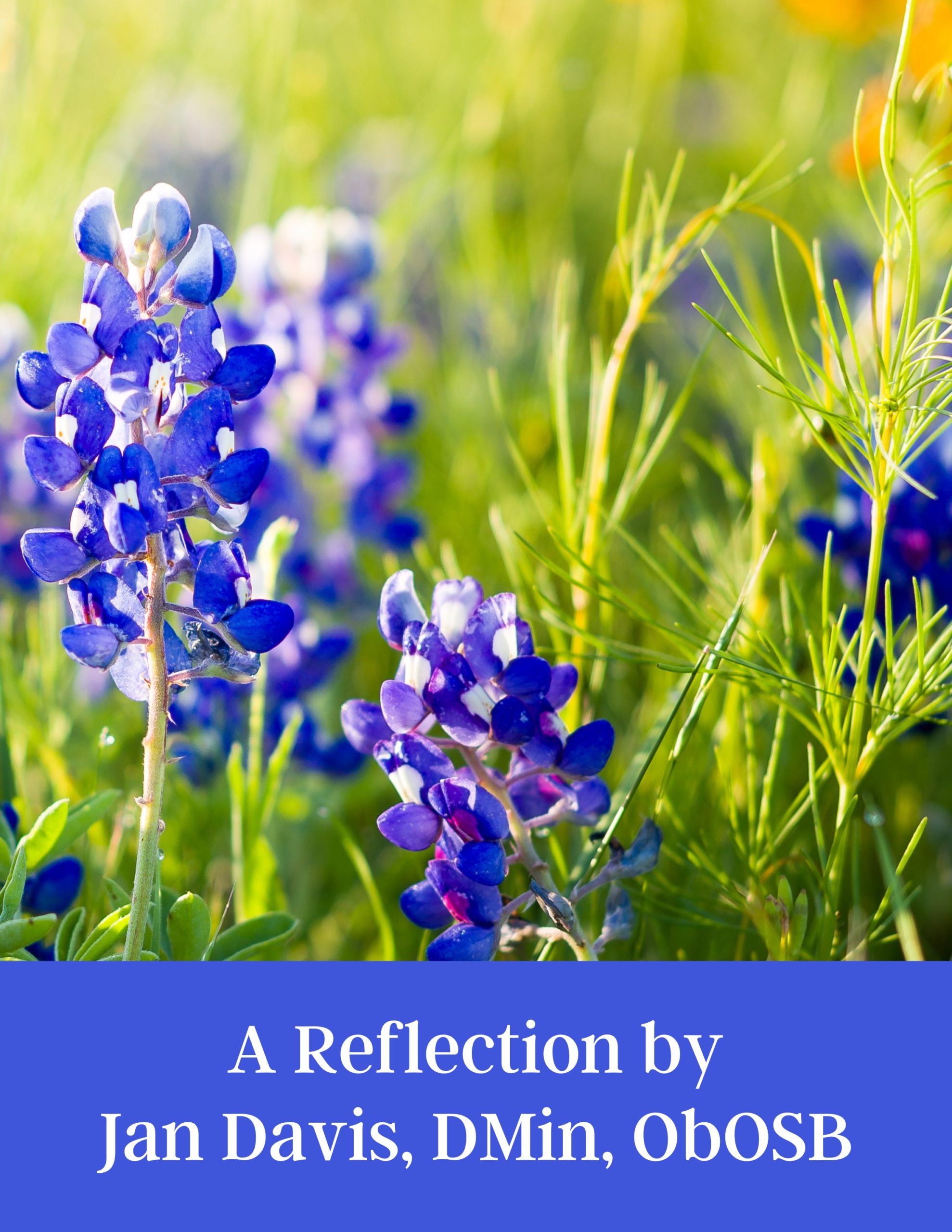 Jan Davis April 2023 Reflection Graphic