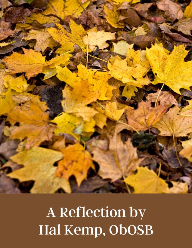 Hal Kemp Reflection Graphic