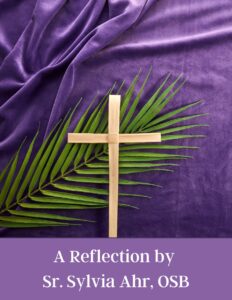 Sr. Sylvia's Reflection Graphic - Feb 2024